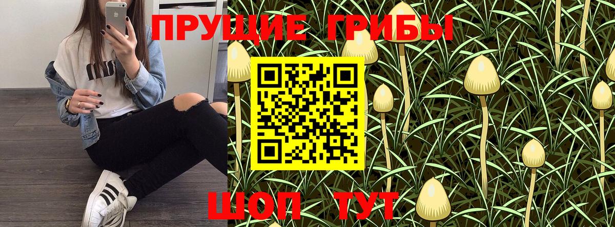 Ахтубинск  Псилоцибиновые грибы Cubensis  купить наркотик  Вход с VPN 